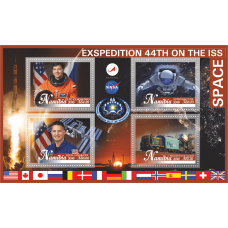 Космос 44-я экспедиция на МКС